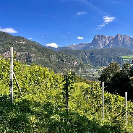 Gasserhof Barbiano  Dış mekan fotoğraf