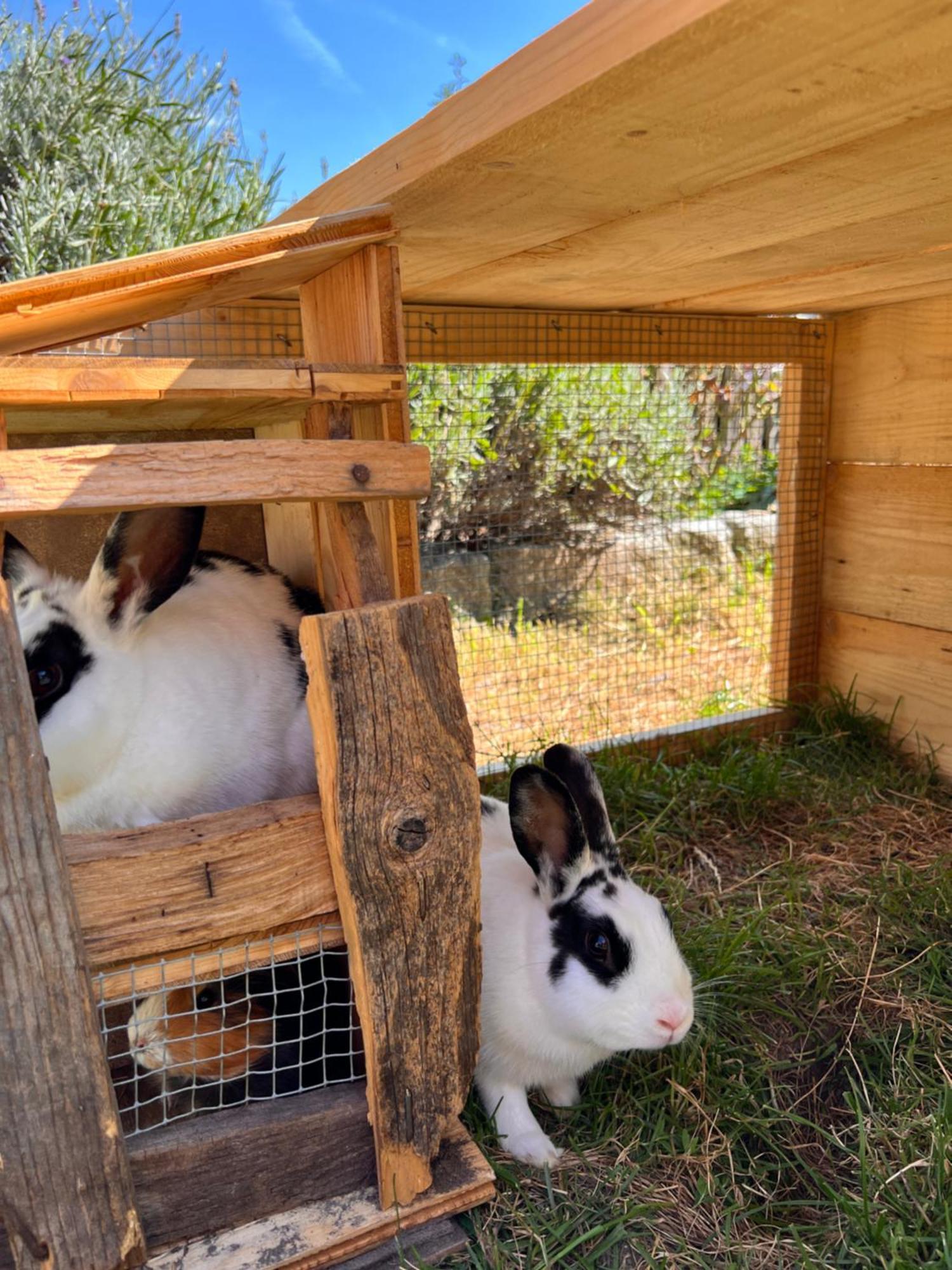 Gasserhof Barbiano  Dış mekan fotoğraf