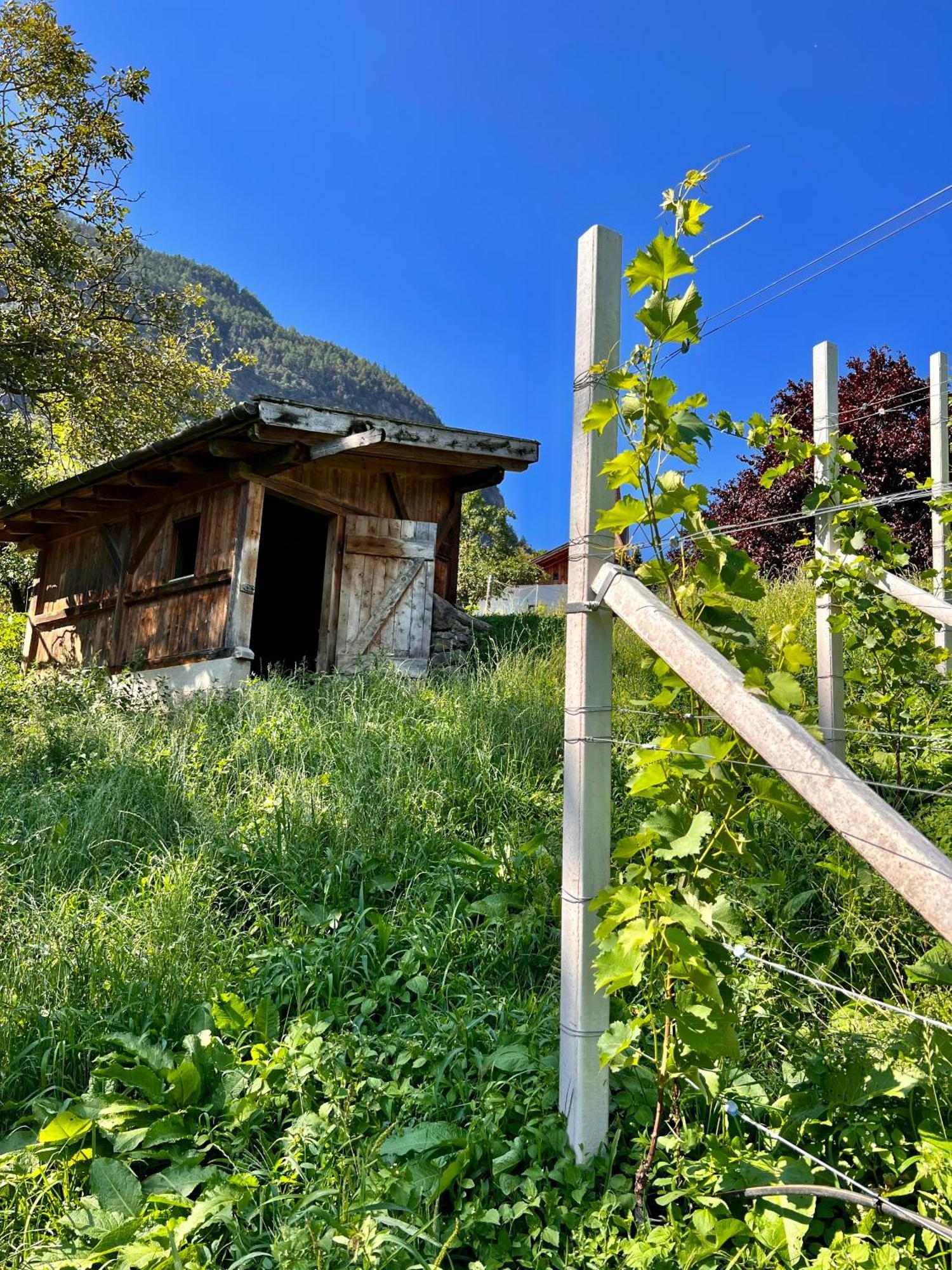 Gasserhof Barbiano  Dış mekan fotoğraf